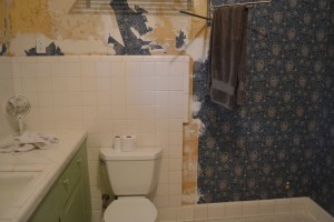 Bathroom before we renovated.