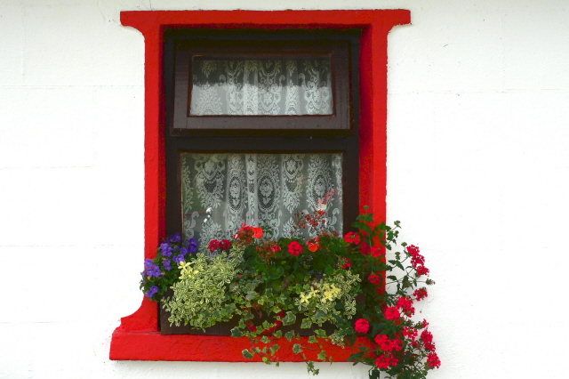 Cottage_window_with_curtains_and_flowers_-_geograph.org.uk_-_1157347